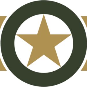 Military Star Wings Emblem 3 Thumbnail