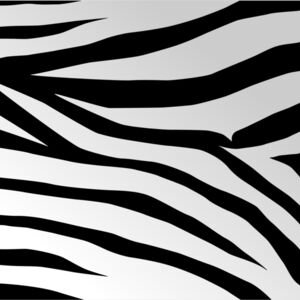 Zebra Print Stripes Background 1 Thumbnail