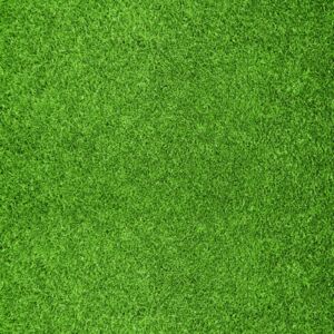 Grass Texture Background Thumbnail