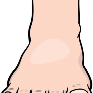 Foot 1 Thumbnail