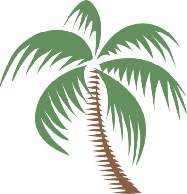 Summer Palm Tree 6